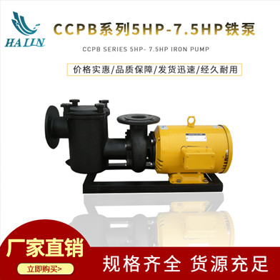 温泉泳池循环水处理设备：CCPB系列5HP-7.5HP铁泵